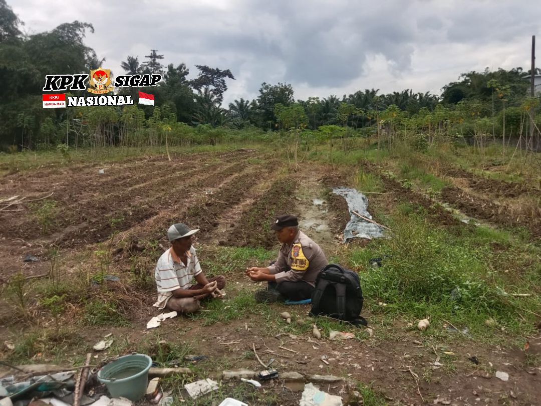 Bhabinkamtibmas Polsek Stabat Dukung Petani Lokal, Sambangi Lahan Pertanian di Desa Pantai Gemi.