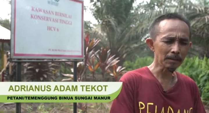 Tanpa Hutan Kami Bukan Apa-Apa Jeritan Sunyi dari Tanah Adat yang Terluka