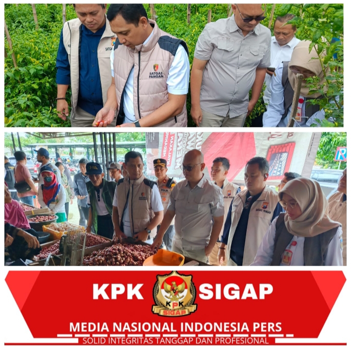 Jelang Idulfitri 2026, Satgas Saber Pangan Pusat Pastikan Stok dan Harga Komoditas di Jatim Stabil