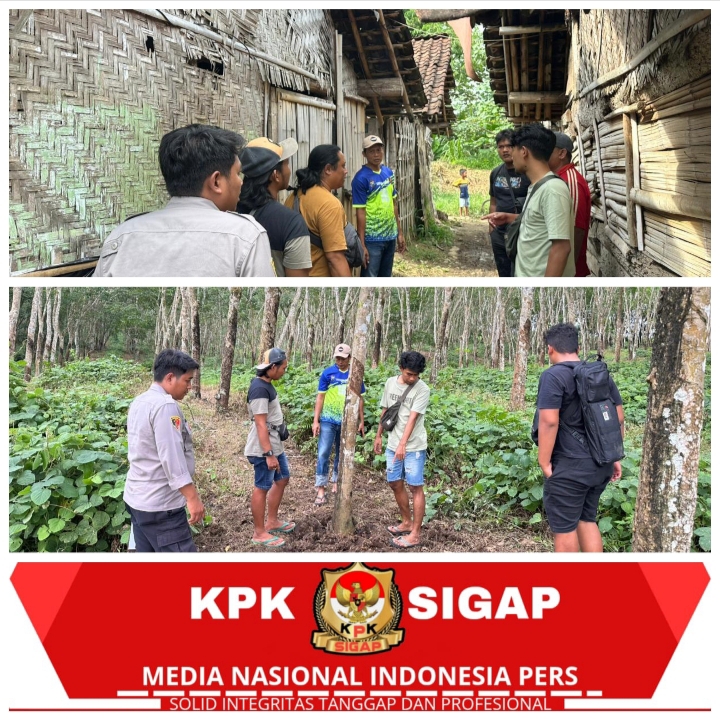 Satreskrim Polresta Banyuwangi Ungkap Kasus Pencurian Sapi dan Penadahan, Dua Tersangka Berhasil Diamankan