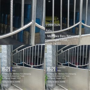 Di duga kuat Warga Timbun Gas Lpg 3Kg Dan BBM Bersubsidi Sampit-Kalteng Kpksigap.com 4/04/2026 Salah Satu Warga Di Jalan kembali Kec.Mentawa Baru Ketapang Sampit Kabupaten Kotawarigin timur di Duga kuat degan ada nya menimbun gas Lpg 3Kg dan bbm bersubsidi Kegiatan yang Sering di lakukan oleh salah satu warga Sering kali terlihat membawa bahan bakar Bersubsidi bio solar dan gas Lpg 3 Kg menggunakan pik up yang hendak di bawa ke daerah luar kota ucap warga yang tidak mau di debutkan nama nya Sebelum berangkat untuk di bawa ke luar kota barang bersubsidi tersebut di kumpulkan di salah satu rumah nya yang berada di perumahan jalan kembali setelah barang barang bersubsidi jenis solar Tersebut sudah cukup banyak untuk di Angkut menggunakan pik up ke daerah Luar kota imbuh nya pantawan dari salah satu media degan ada nya kegiatan yang sering di lakukan pik up tersebut keluar dari salah satu tempat perumahan penimbun solar dan gas lpg 3Kg keluar pada malam hari keberangkatan pik up tersebut pada pukul 04:00 wit agar menghindari sorotan degan ada nya penyimpagan barang bersubsidi pungkas nya ( M.hakim )